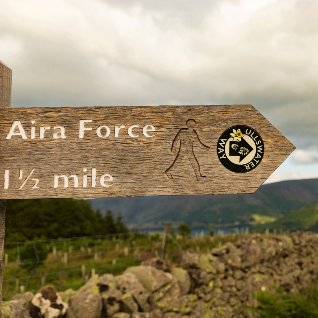 Aira force sign