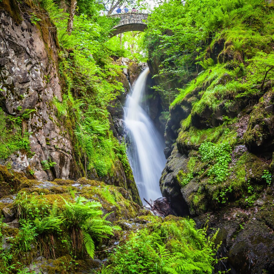 Aira force