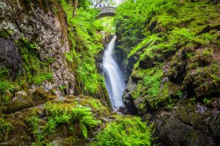 Aira force