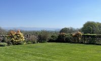 Grass field