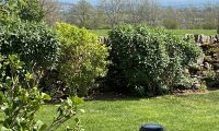 Hedges & flowers