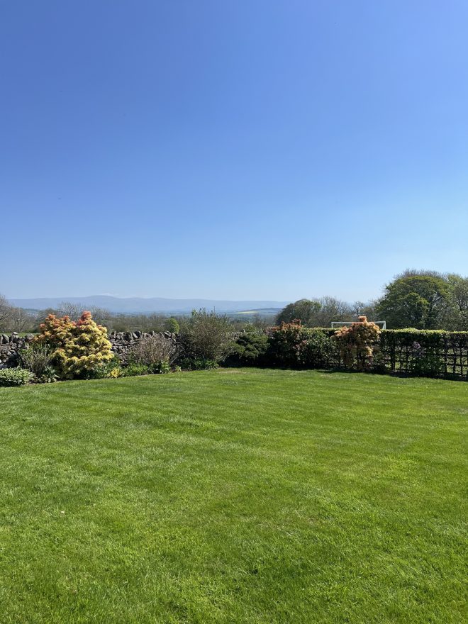 Grass field