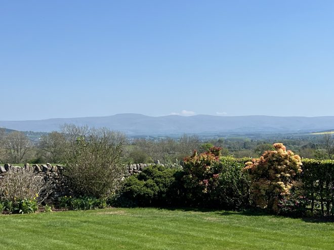 Grass field & hedges