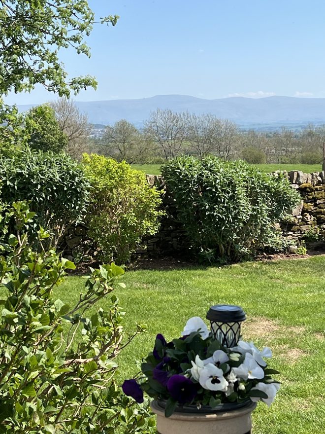 Hedges & flowers