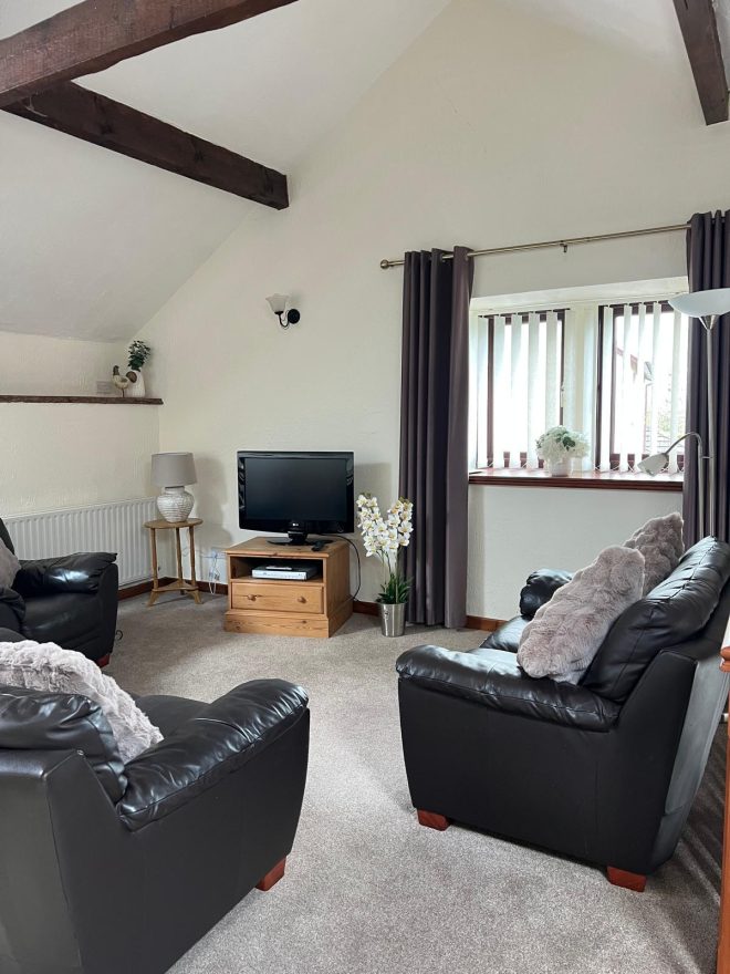 Sofas and tv